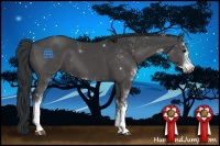 Horse Color:Black Sabino