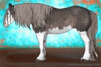 Horse Color:Platinum Liver Chestnut Sabino Splash 