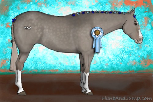 Horse Color:Silver Grullo Sabino Splash Rabicano 
