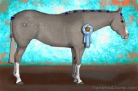 Horse Color:Silver Grullo Sabino Splash Rabicano