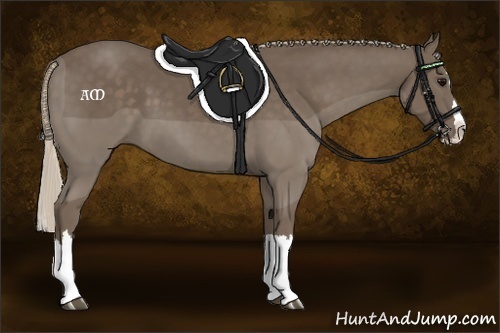 Horse Color:Silver Black Sabino Splash