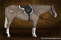 Horse Color:Silver Black Sabino Splash