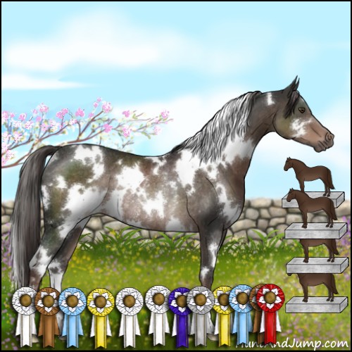 Horse Color:White Spotted Liver Chestnut Rabicano