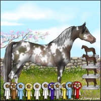 Horse Color:White Spotted Liver Chestnut Rabicano