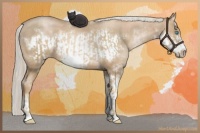 Horse Color:Chocolate Palomino Roan Pearl Sabino Frame and Chocolate Palomino Pearl Sabino Frame