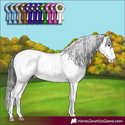 Horse Color:Liver Red Dun Sabino Brindle 