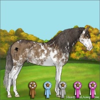 Horse Color:Liver Red Dun Sabino Brindle