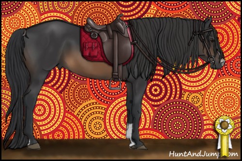 Horse Color:Brown Sabino 