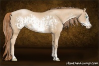 Horse Color:Chocolate Palomino Pearl Sabino Frame  and Buckskin Pearl Sabino Frame 
