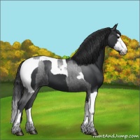 Horse Color:Blue Roan Sabino Splash  and Black Sabino Splash Tobiano 