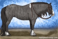 Horse Color:Smoky Blue Roan Sabino Splash and Smoky Blue Roan Splash Tobiano