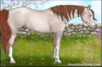 Horse Color:Gray Classic Cream Champagne Pearl Splash