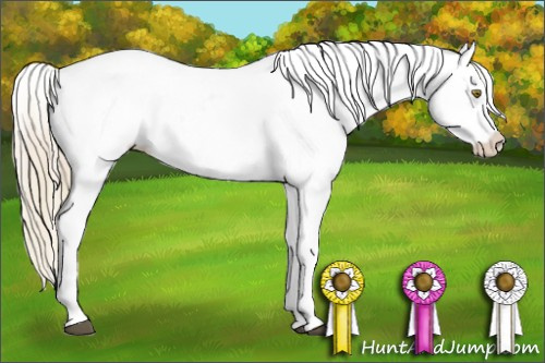 Horse Color:Plaid  Palomino Near Leopard  and Plaid  Palomino Frame Near Leopard 