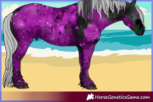 Horse Color:ERROR: UNKNOWN ANOMALY and ERROR: UNKNOWN ANOMALY