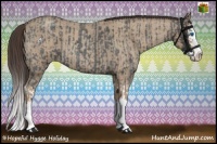 Horse Color:Blue Roan Sabino Splash  and Classic Champagne Roan Sabino Splash 