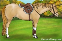 Horse Color:Chestnut Pearl