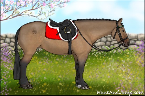 Horse Color:Brown Roan Dun 