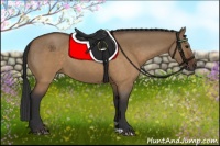 Horse Color:Brown Roan Dun 