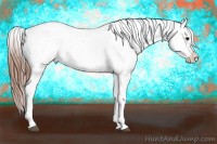 Horse Color:White Spotted Bay Varnish 