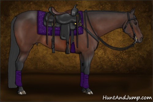 Horse Color:Brown Rabicano