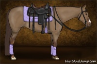 Horse Color:Liver Red Dun 