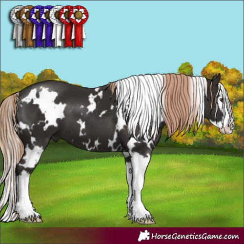 Horse Color:White Spotted Liver Chestnut Splash 