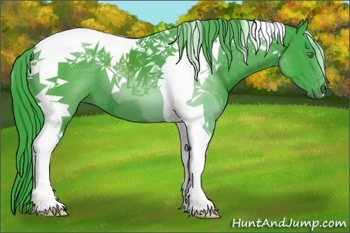 Horse Color:Watercolor Black Tobiano 