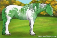 Horse Color:Watercolor Black Tobiano 
