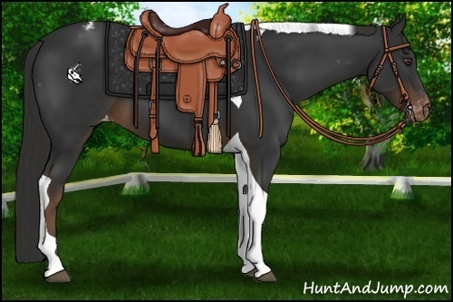 Horse Color:Liver Chestnut Tobiano Appaloosa 