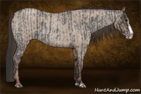 Horse Color:Blue Roan Sabino Splash  and Classic Champagne Roan Sabino Splash 