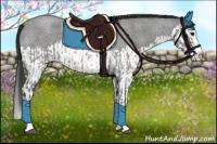 Horse Color:Blue Roan Sabino Splash  and Blue Roan Sabino Splash 