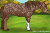 Horse Color:Chestnut Ice 