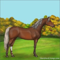 Horse Color:Silver Brown 
