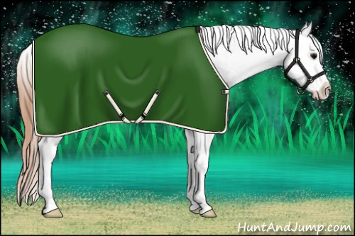 Horse Color:Bay Near Leopard