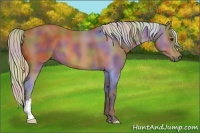 Horse Color:Nacre Silver Brown 
