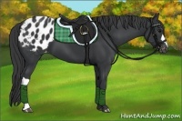 Horse Color:Black Blanket 