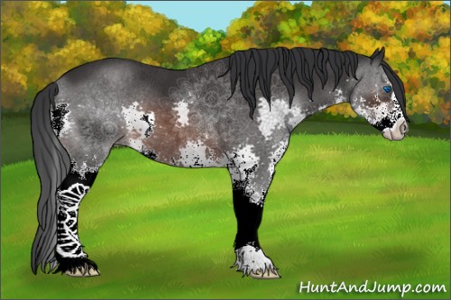 Horse Color:Brown Sabino Splash