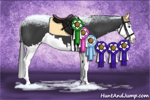 Horse Color:Black Sabino Splash 