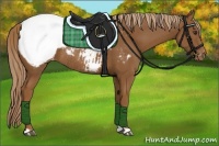 Horse Color:Chestnut Snowcap Rabicano