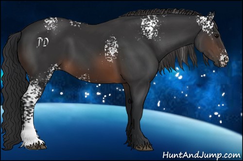 Horse Color:White Spotted Brown 