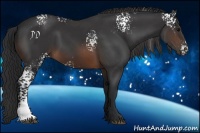 Horse Color:White Spotted Brown 