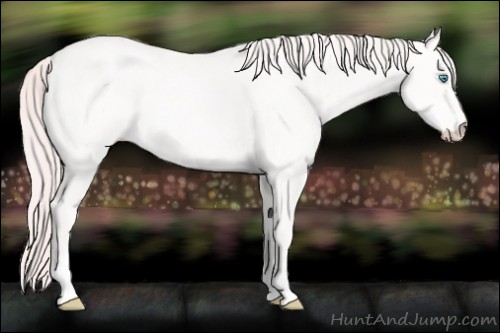 Horse Color:Perlino Roan 