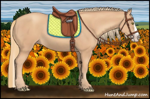 Horse Color:Gold Champagne Splash 