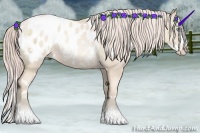 Horse Color:White Spotted Gold Cream Champagne Pearl Splash Appaloosa 