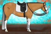Horse Color:Bay Splash