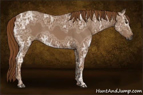 Horse Color:Gray Chestnut Ice 