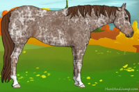 Horse Color:Gray Chestnut Ice 