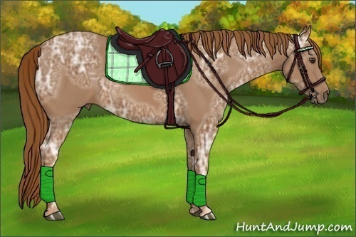 Horse Color:Chestnut Ice 