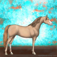 Horse Color:Gold Champagne Splash 