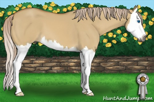 Horse Color:Gray Palomino Dun Splash 